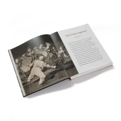 The Metropolitan Museum of Art Goya'S Graphic Imagination Best