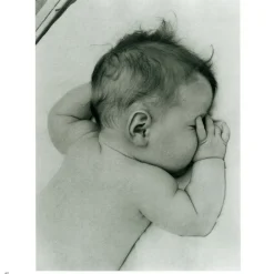 The Metropolitan Museum of Art Lullabies Songbook And Cd Outlet