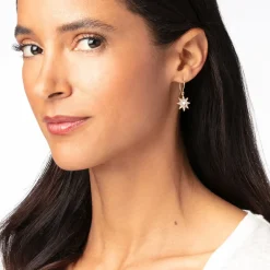 The Metropolitan Museum of Art Ottoman Star Gilded Drop Earrings Clearance